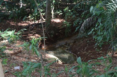 Foto Francisco Carvalho (88).JPG