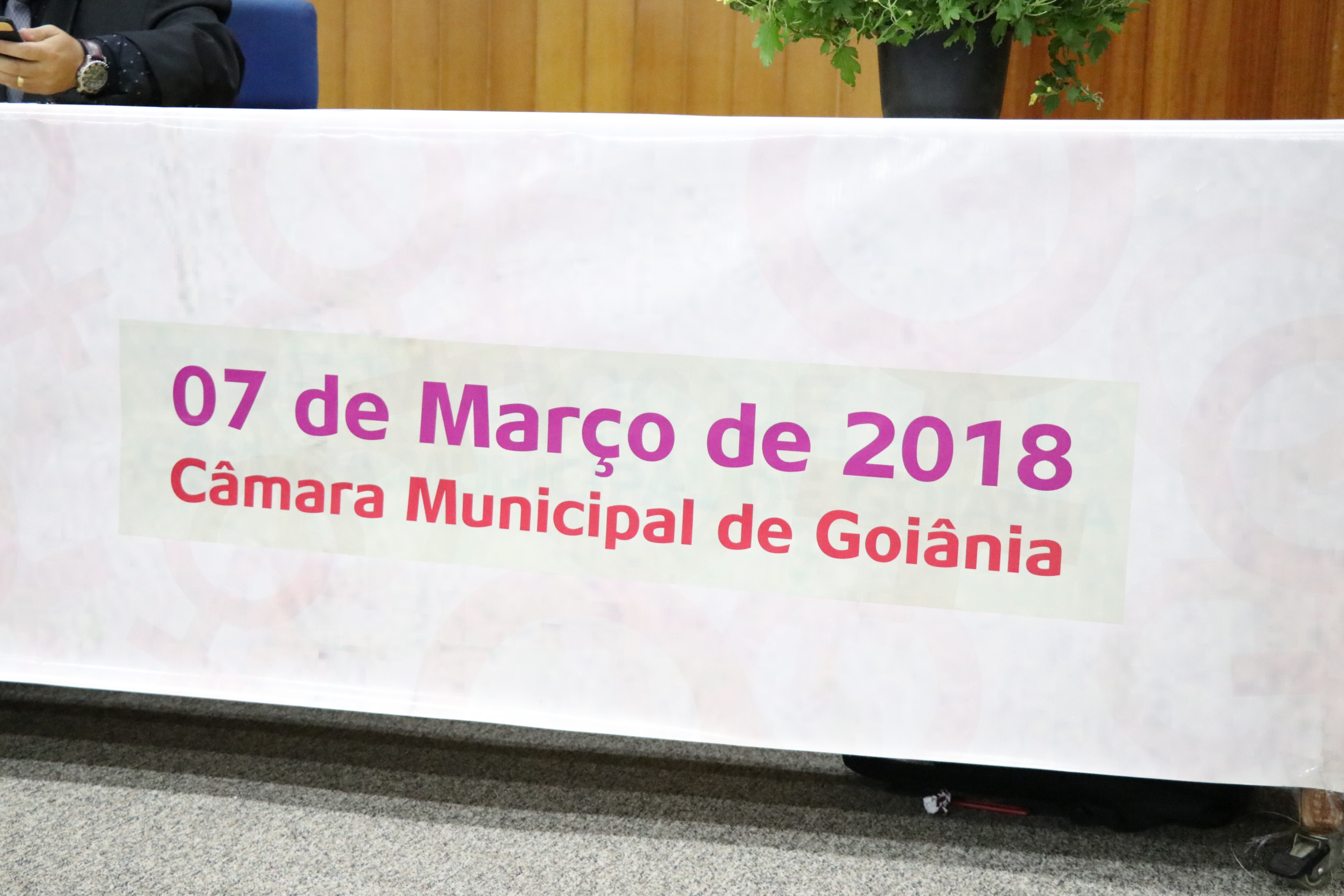 Foto Francisco Carvalho (153).JPG