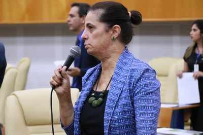 Fotos Wictória Jhefany (39).JPG