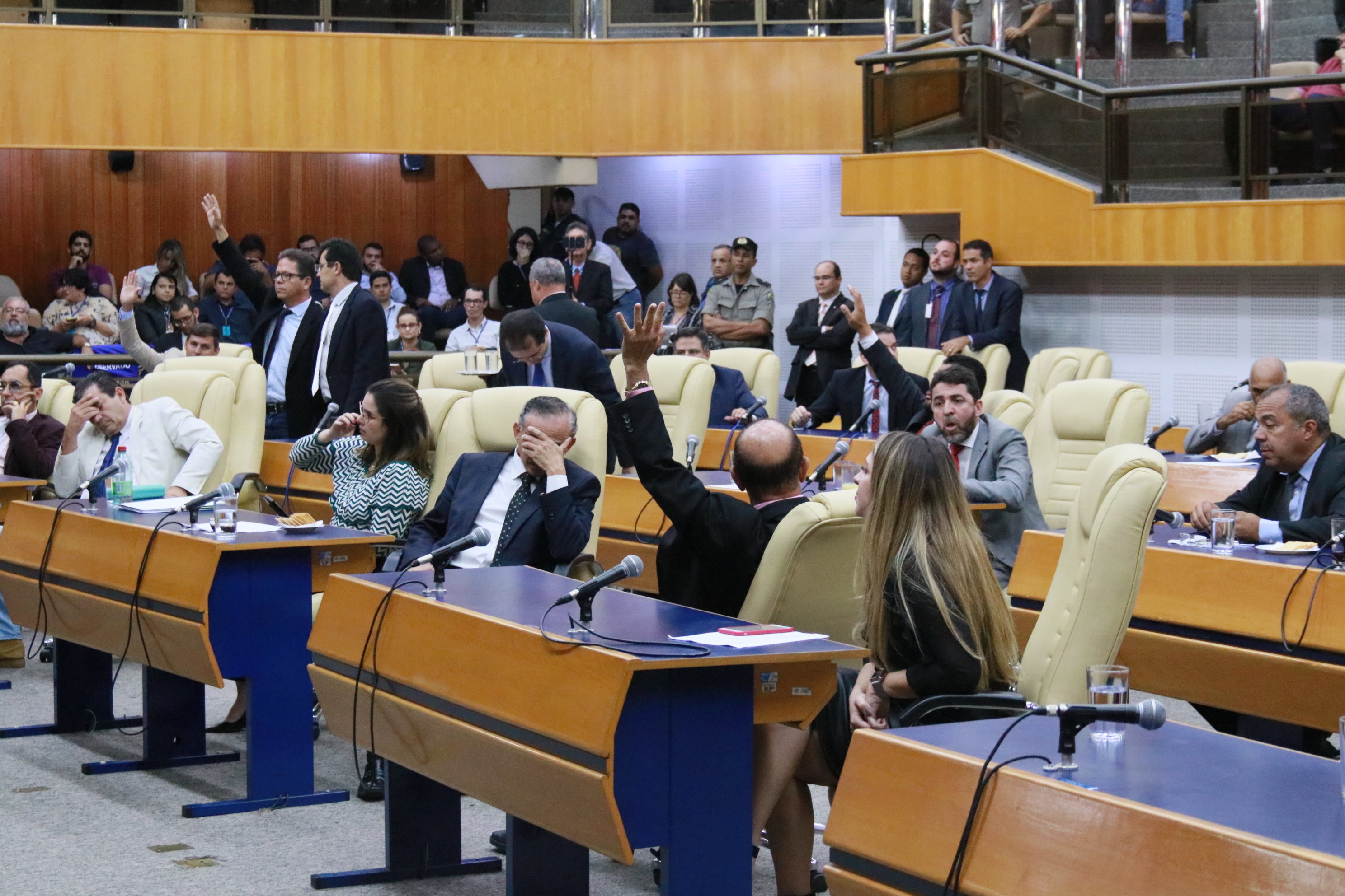 Foto Francisco Carvalho (144).JPG