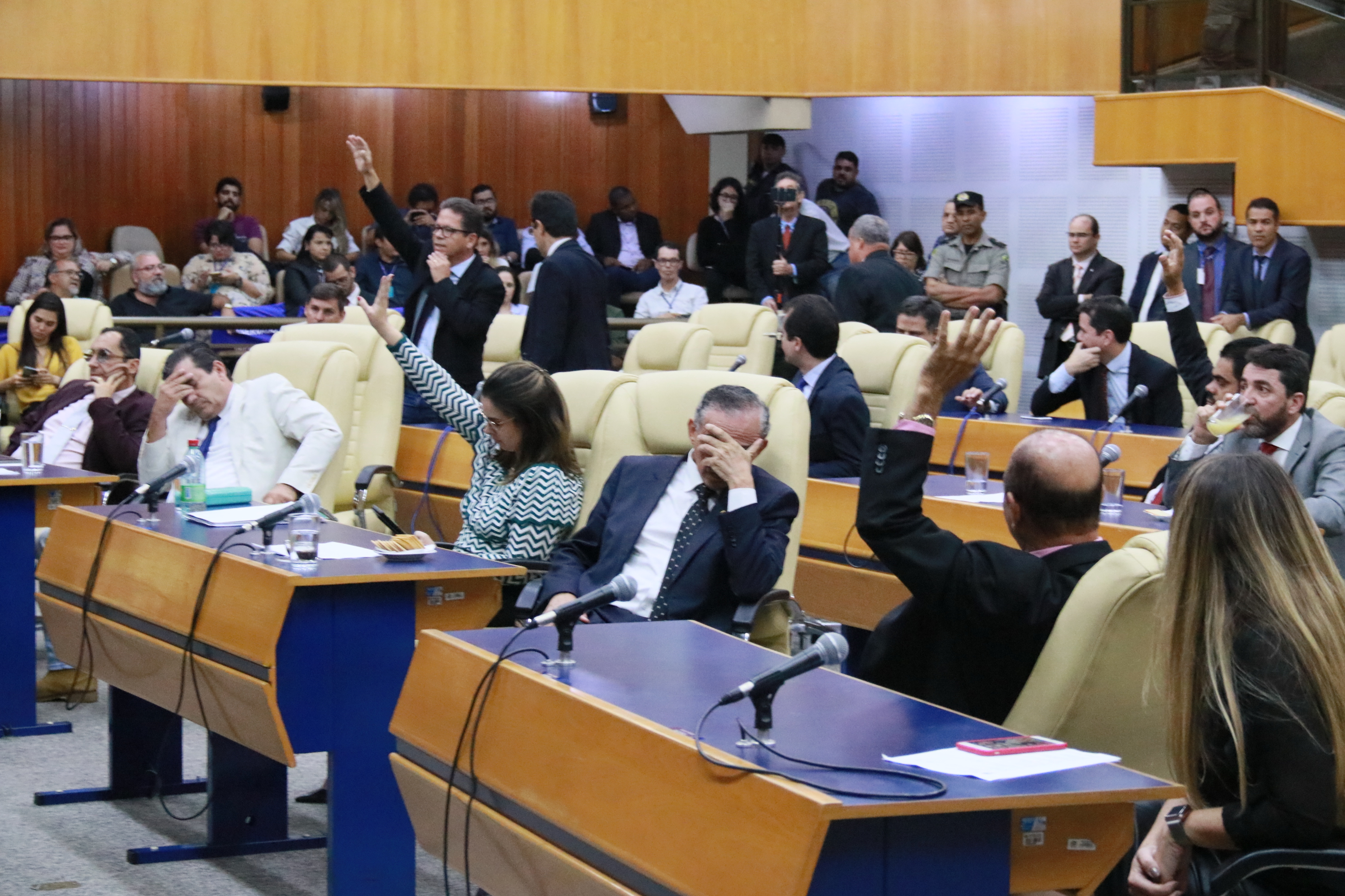 Foto Francisco Carvalho (145).JPG