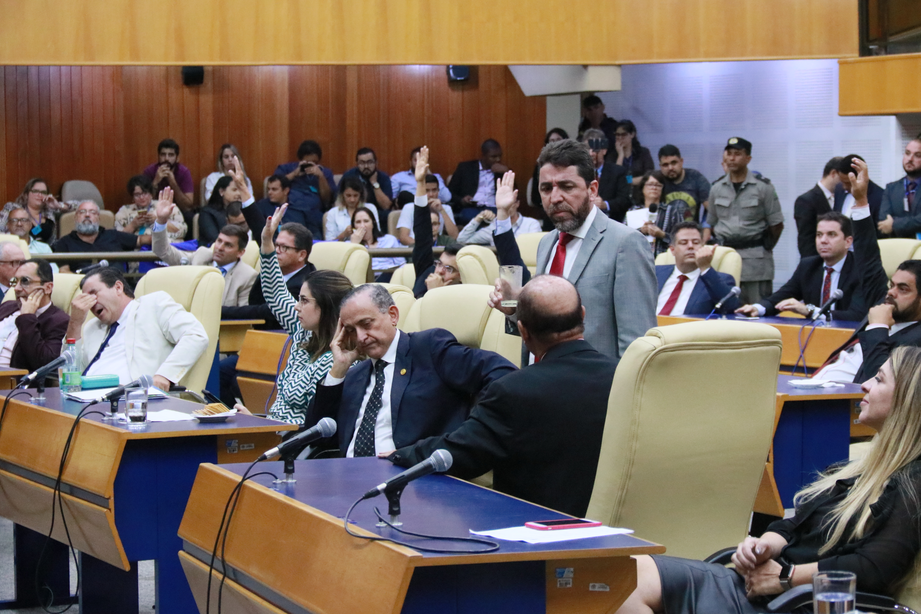 Foto Francisco Carvalho (147).JPG