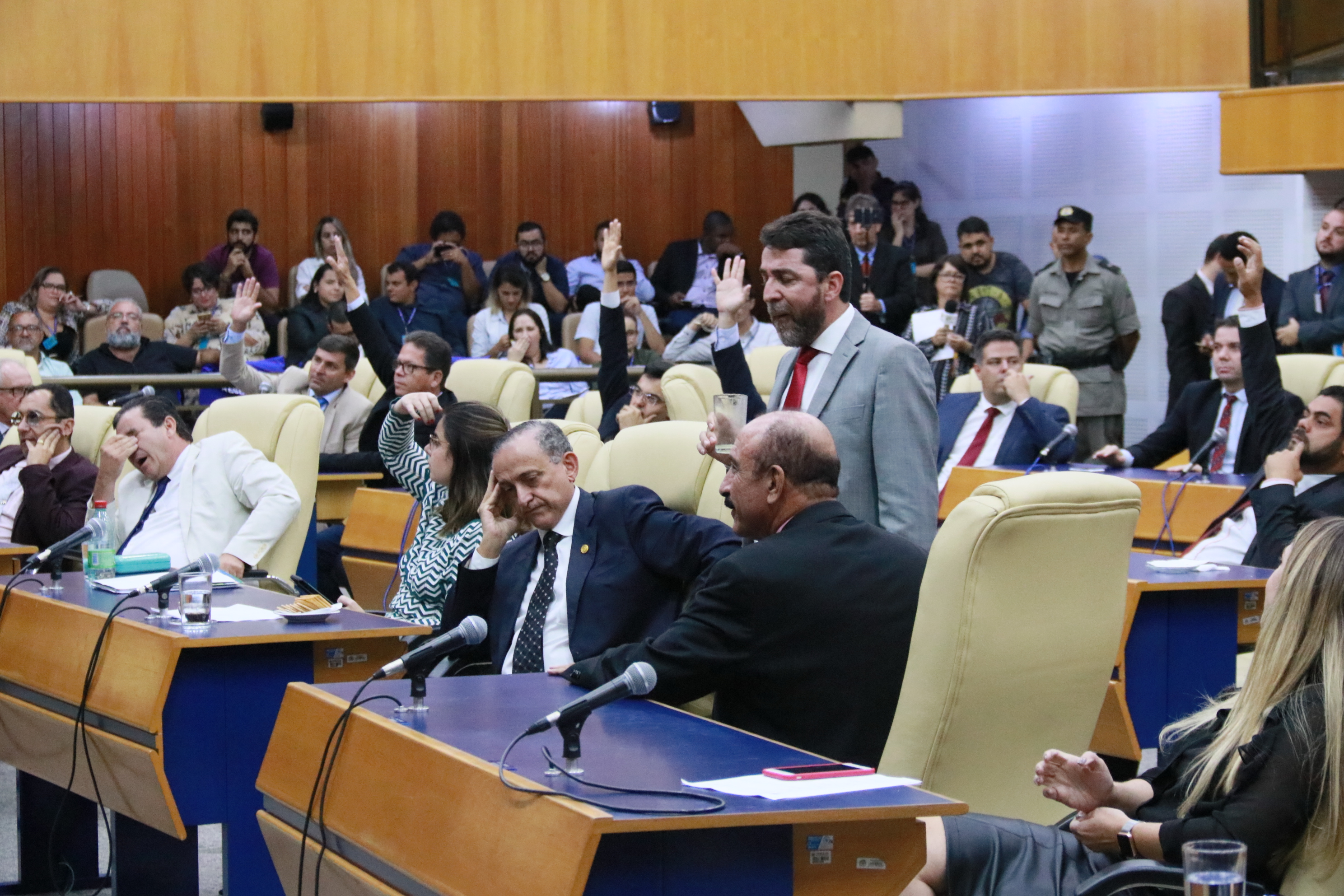 Foto Francisco Carvalho (148).JPG