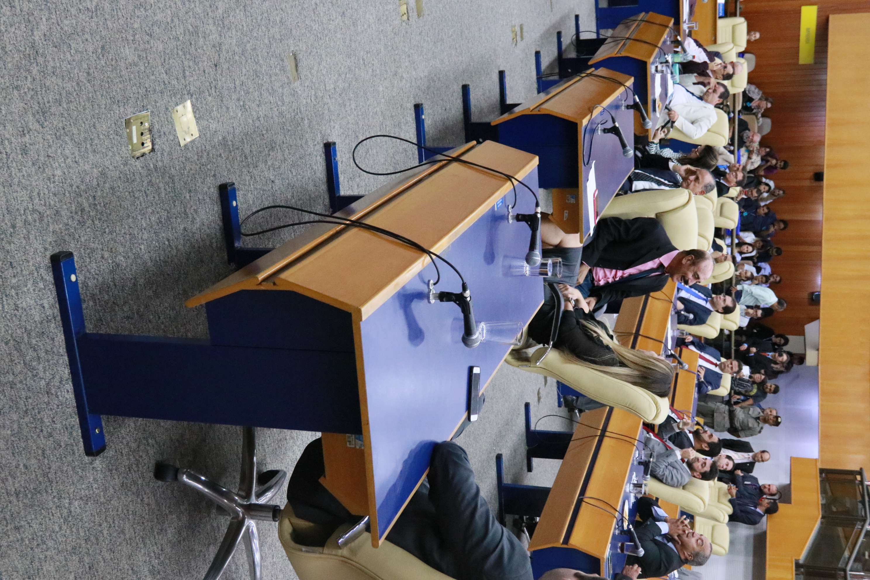 Foto Francisco Carvalho (149).JPG