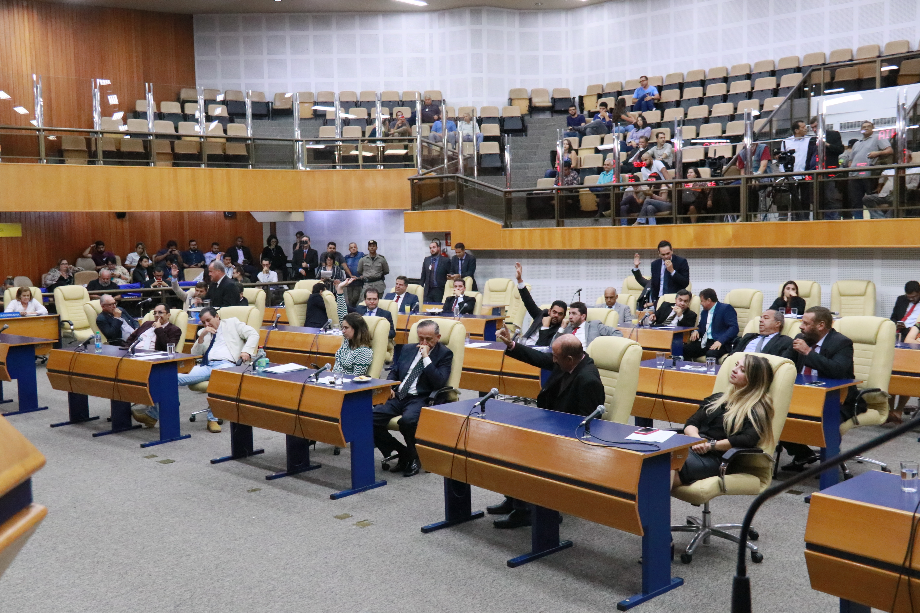 Foto Francisco Carvalho (153).JPG