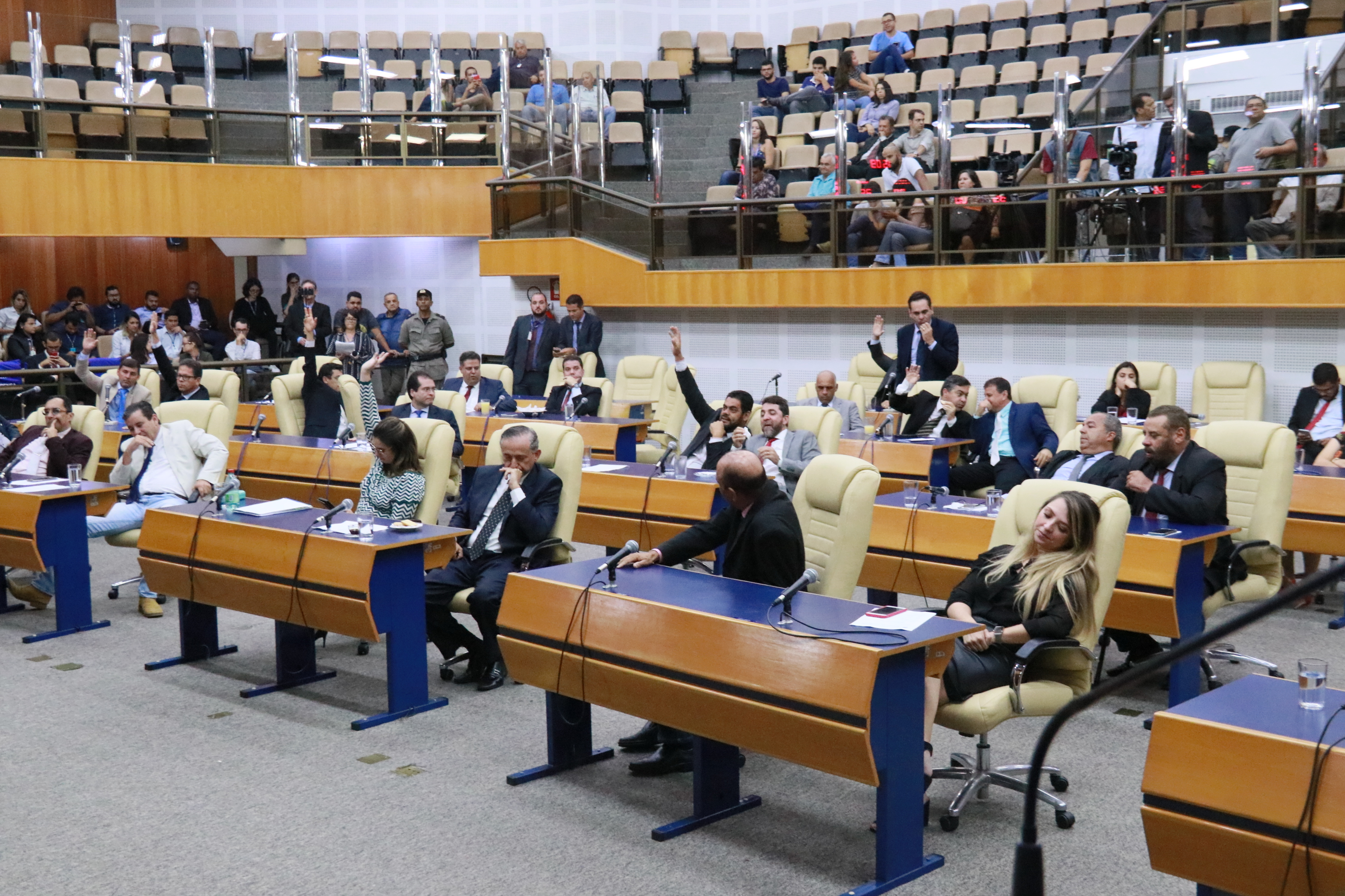 Foto Francisco Carvalho (154).JPG