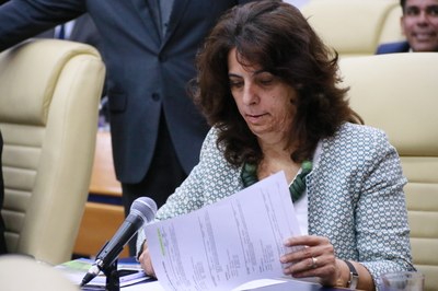 Fotos Wictória Jhefany (39).JPG