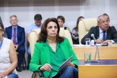 FOTOS MARINA ALICE (102).JPG