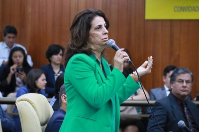 FOTOS MARINA ALICE (456).JPG