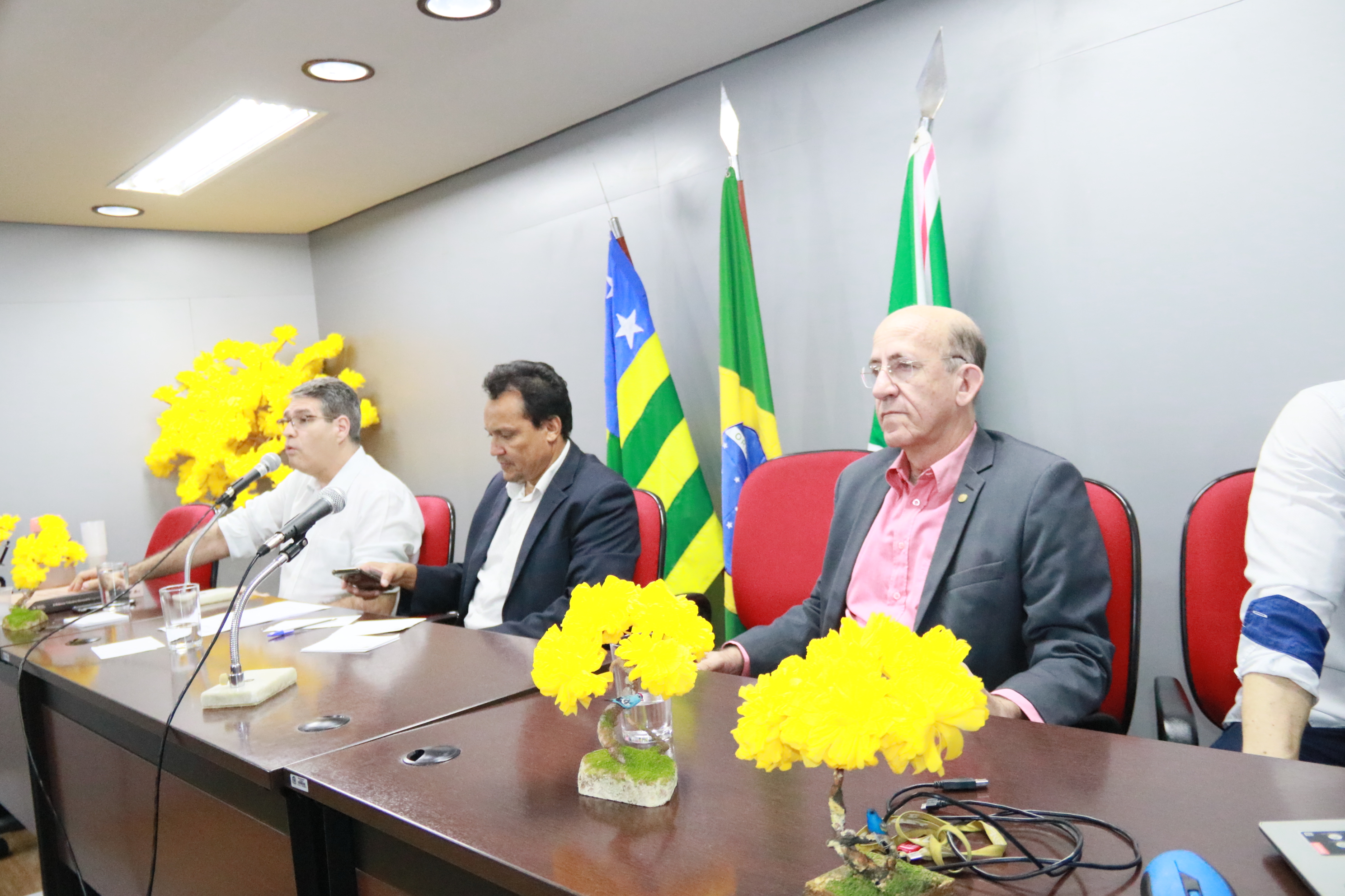 Foto Francisco Carvalho (34).JPG