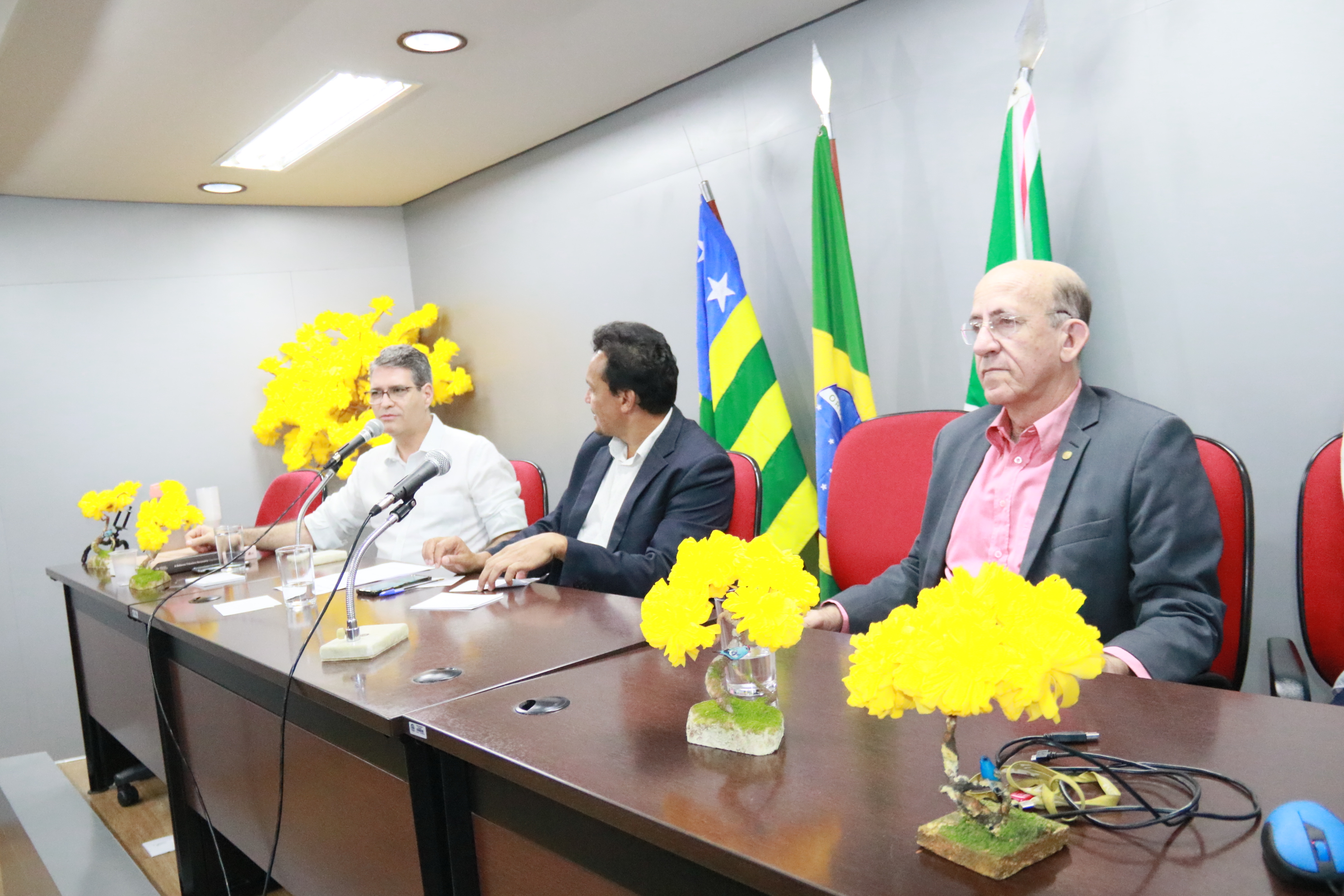 Foto Francisco Carvalho (35).JPG