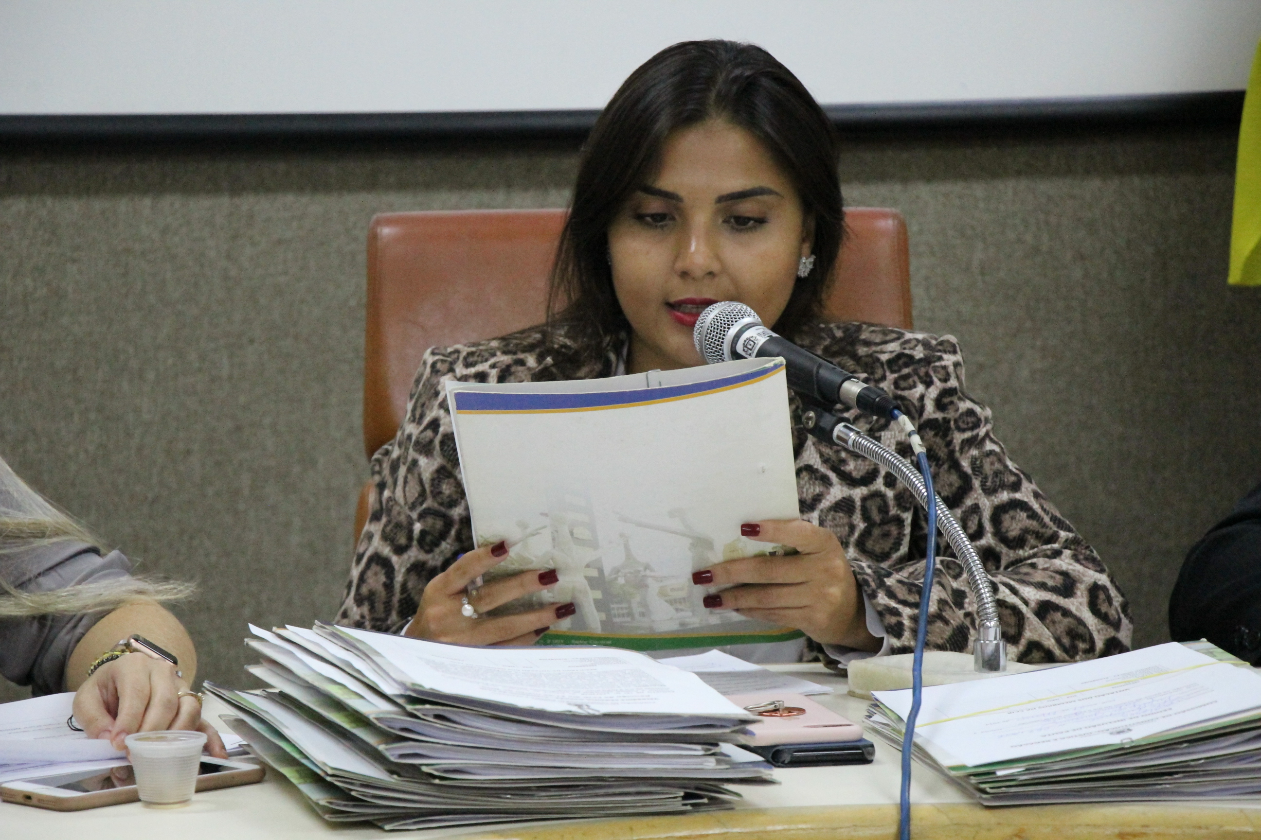 FOTOS MARINA ALICE (11).JPG