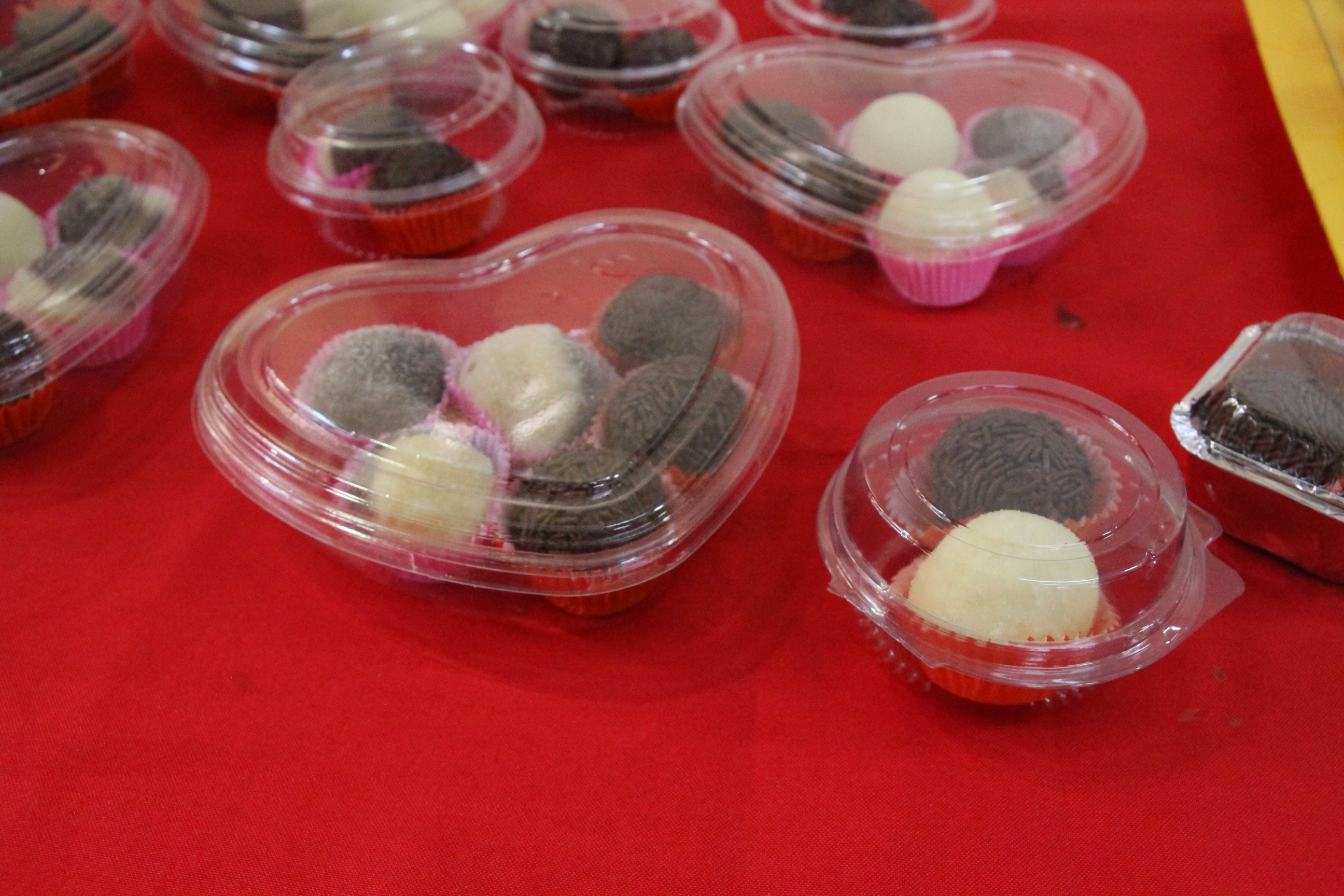 fotos marina alice (29).JPG