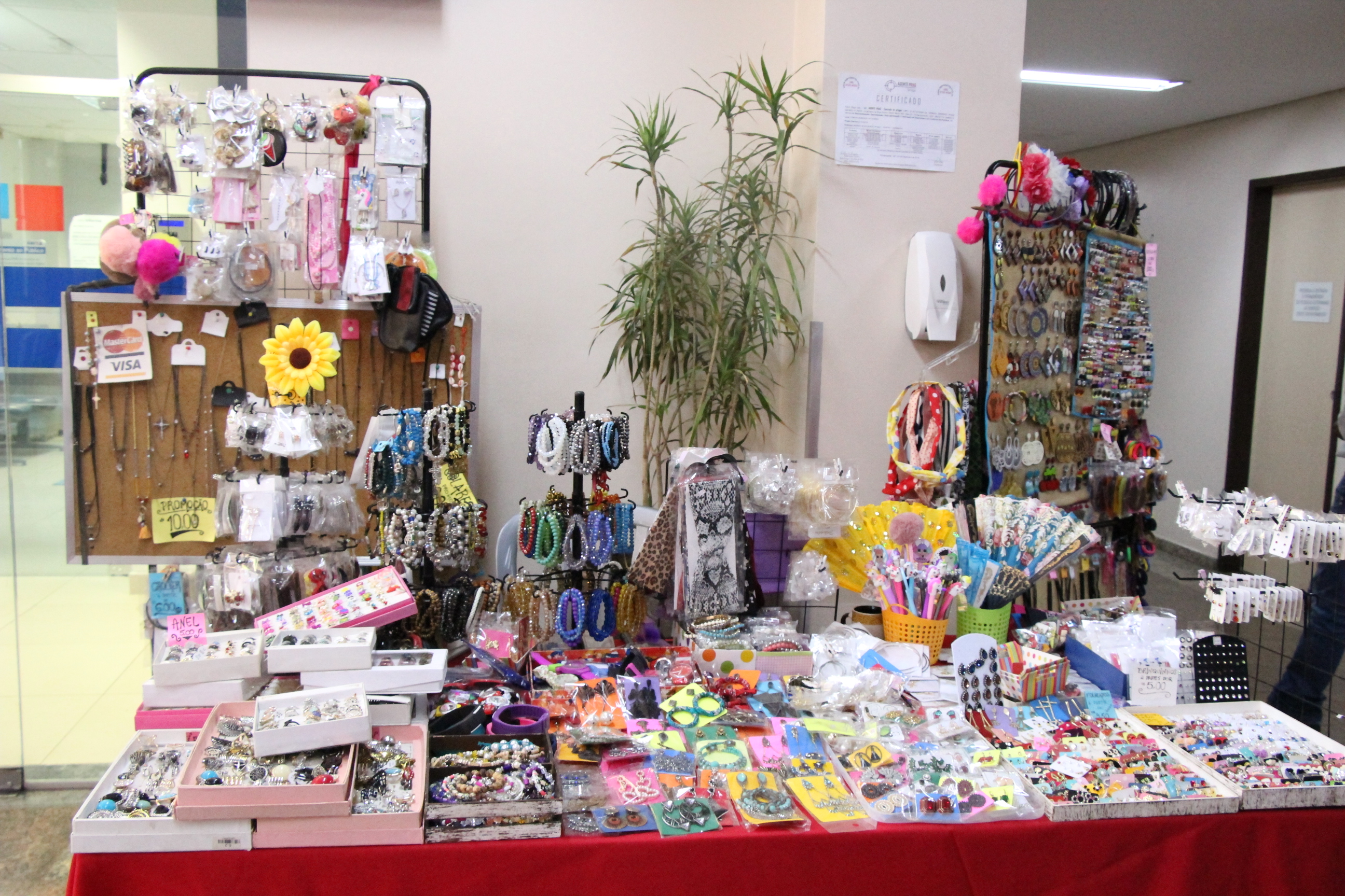 fotos marina alice (67).JPG