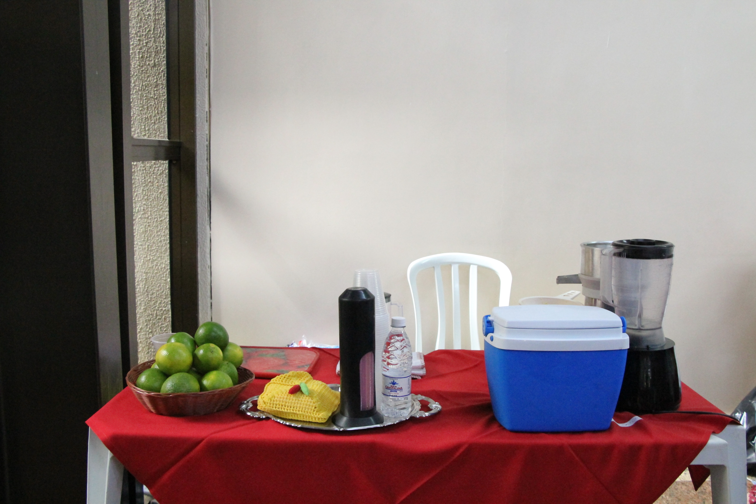 fotos marina alice (19).JPG