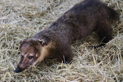 fotos marina alice (30).JPG