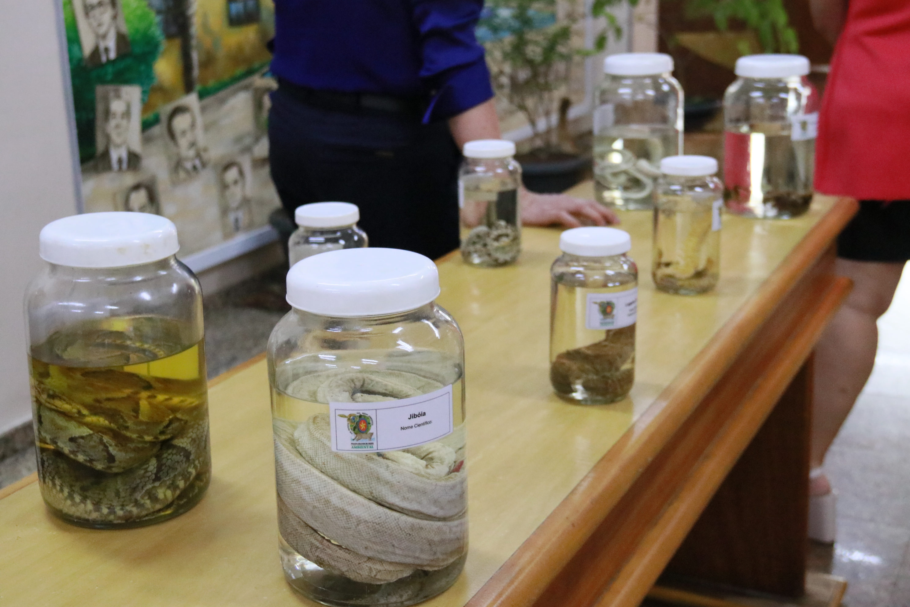 fotos marina alice (54).JPG