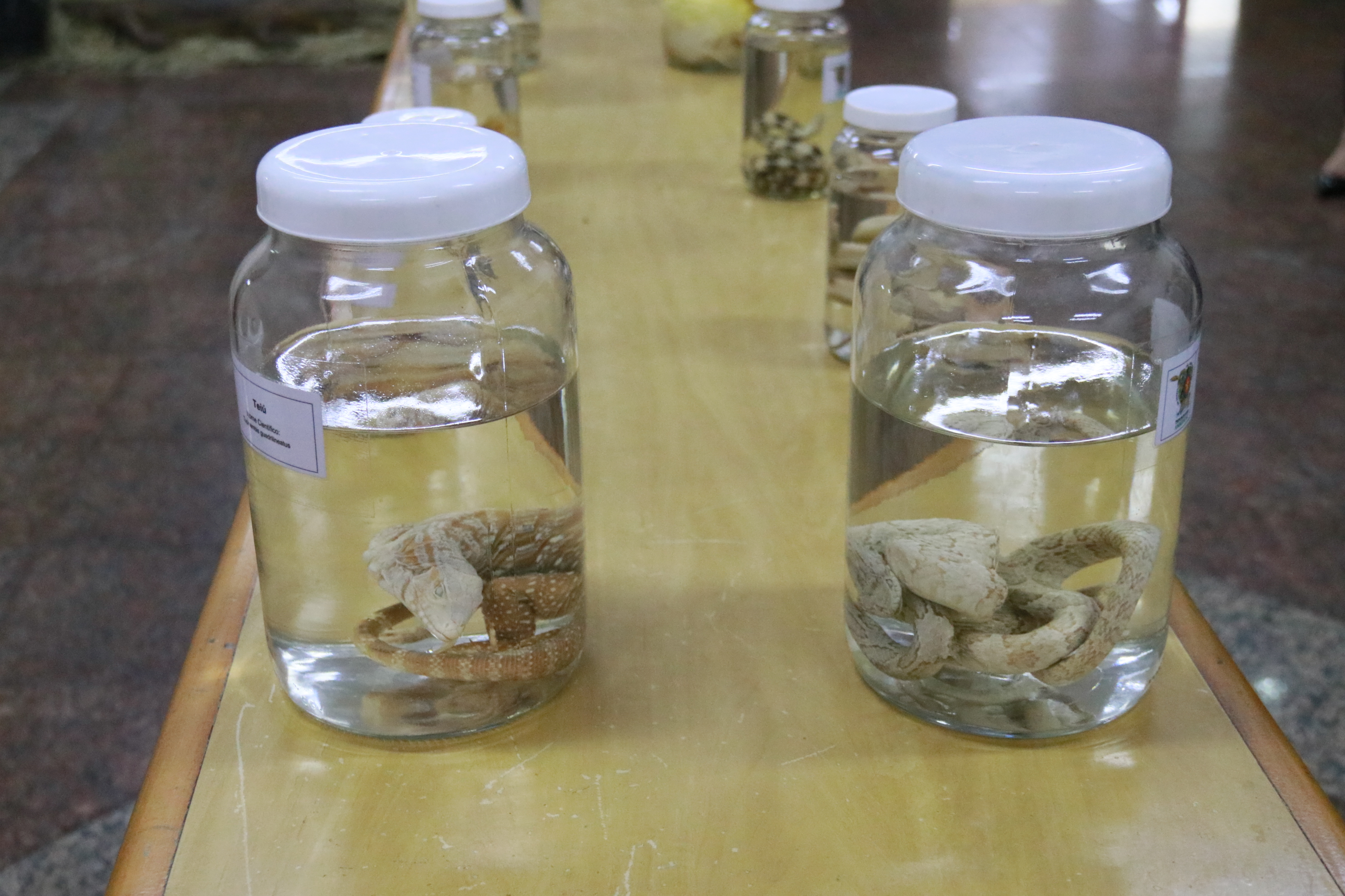 fotos marina alice (6).JPG