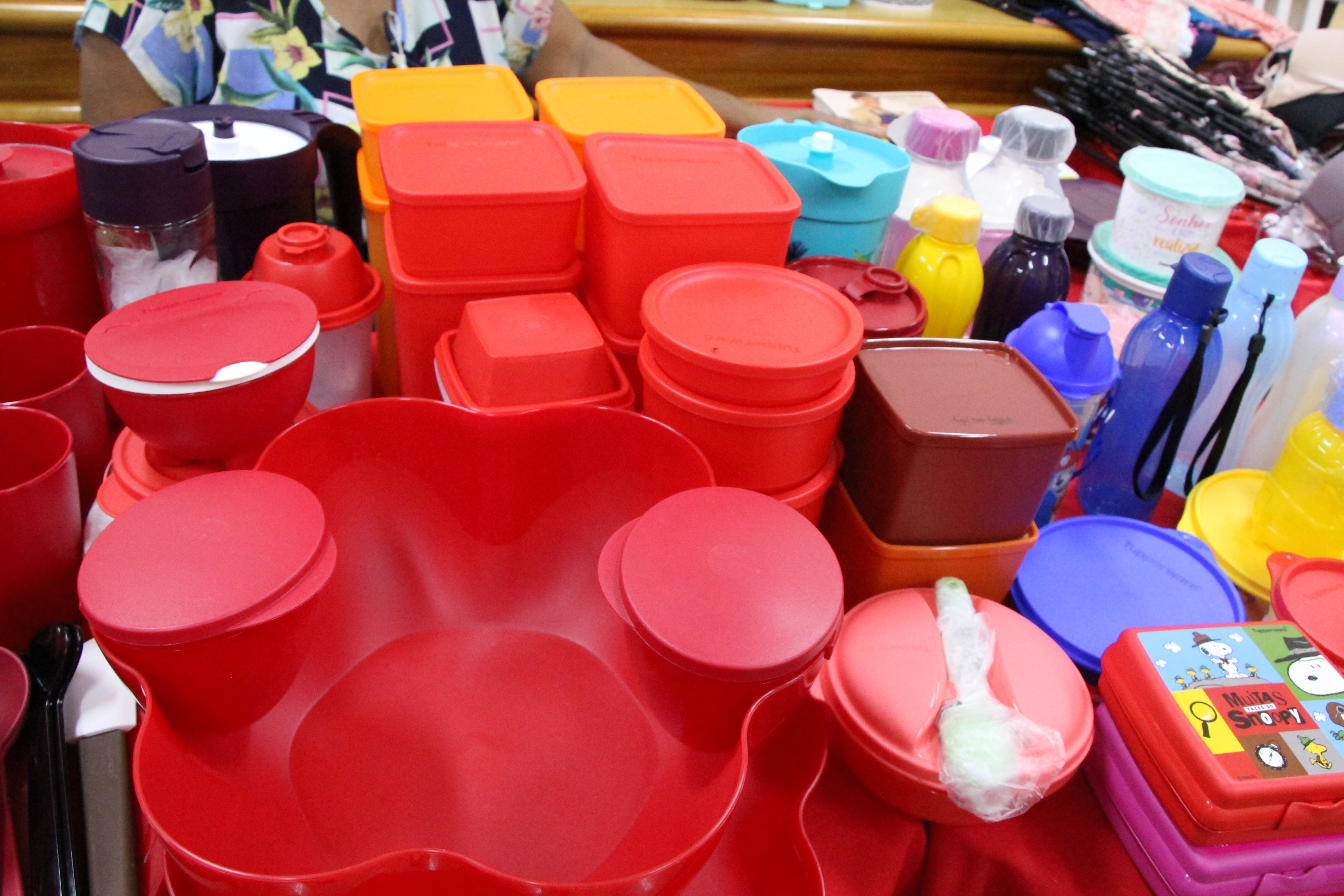 fotos marina alice (174).JPG