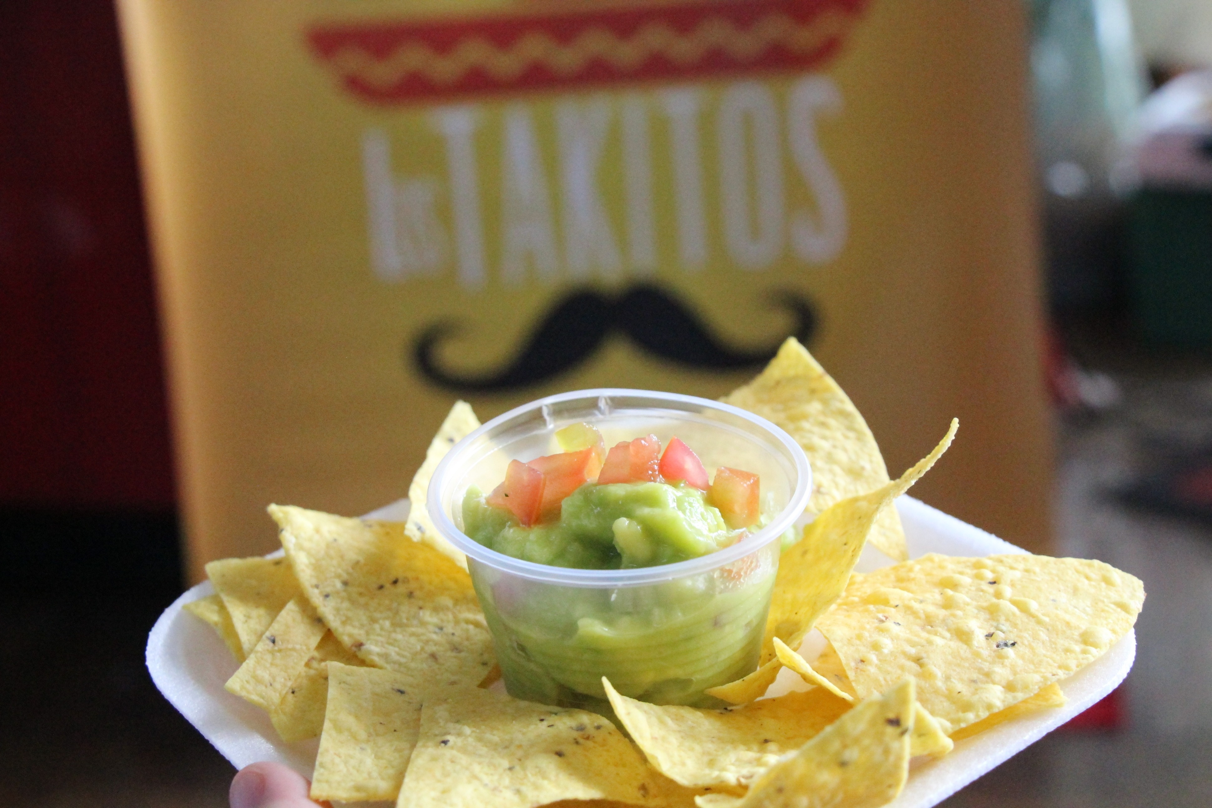 fotos marina alice (65).JPG