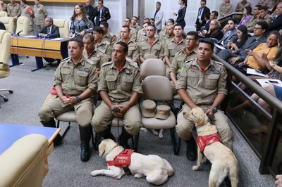 fotos alberto maia (67).JPG