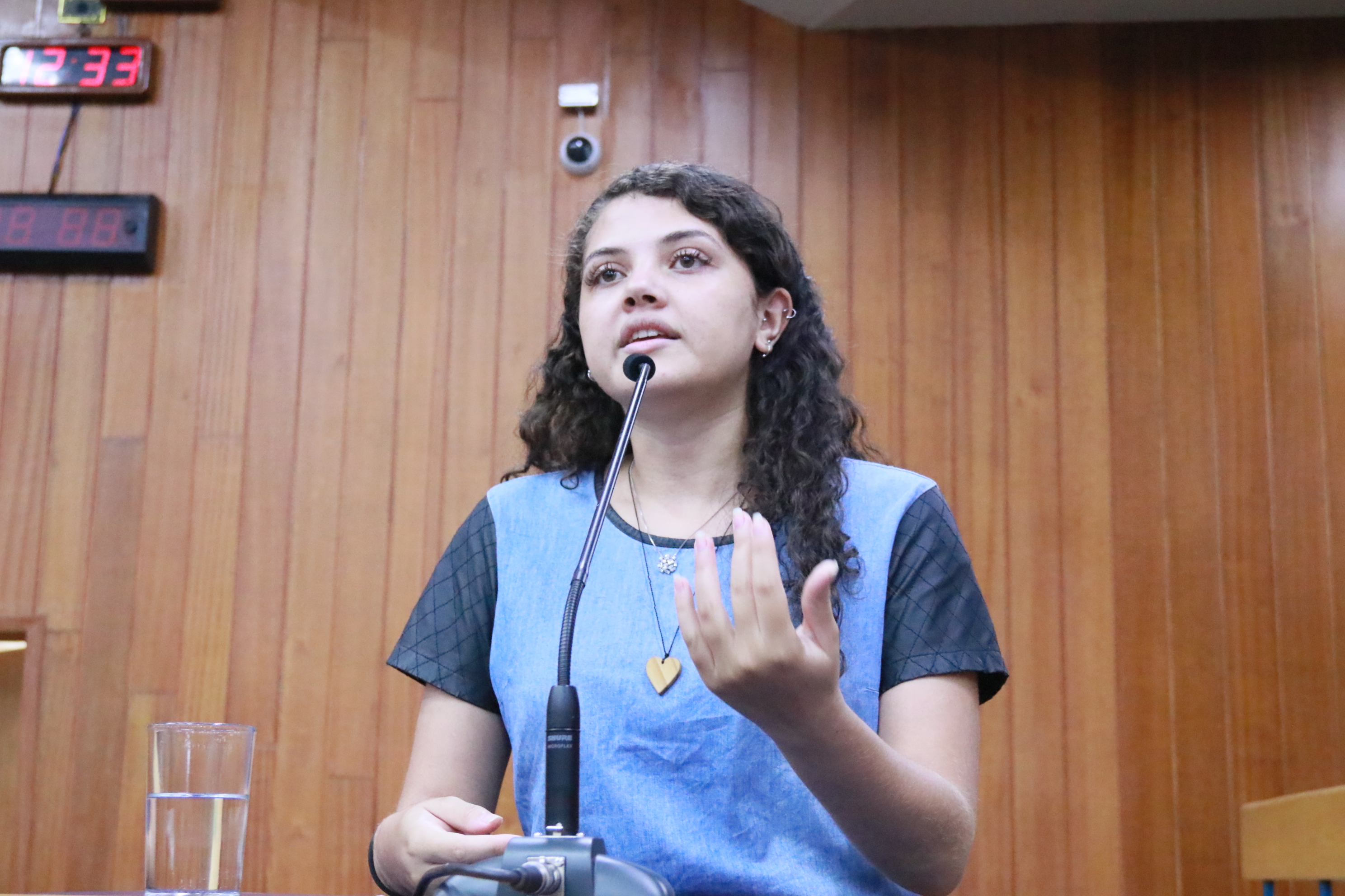 FOTOS RAUL CARVALHO (32).JPG