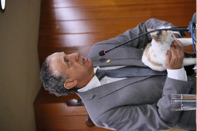 fotos alberto maia (177).JPG