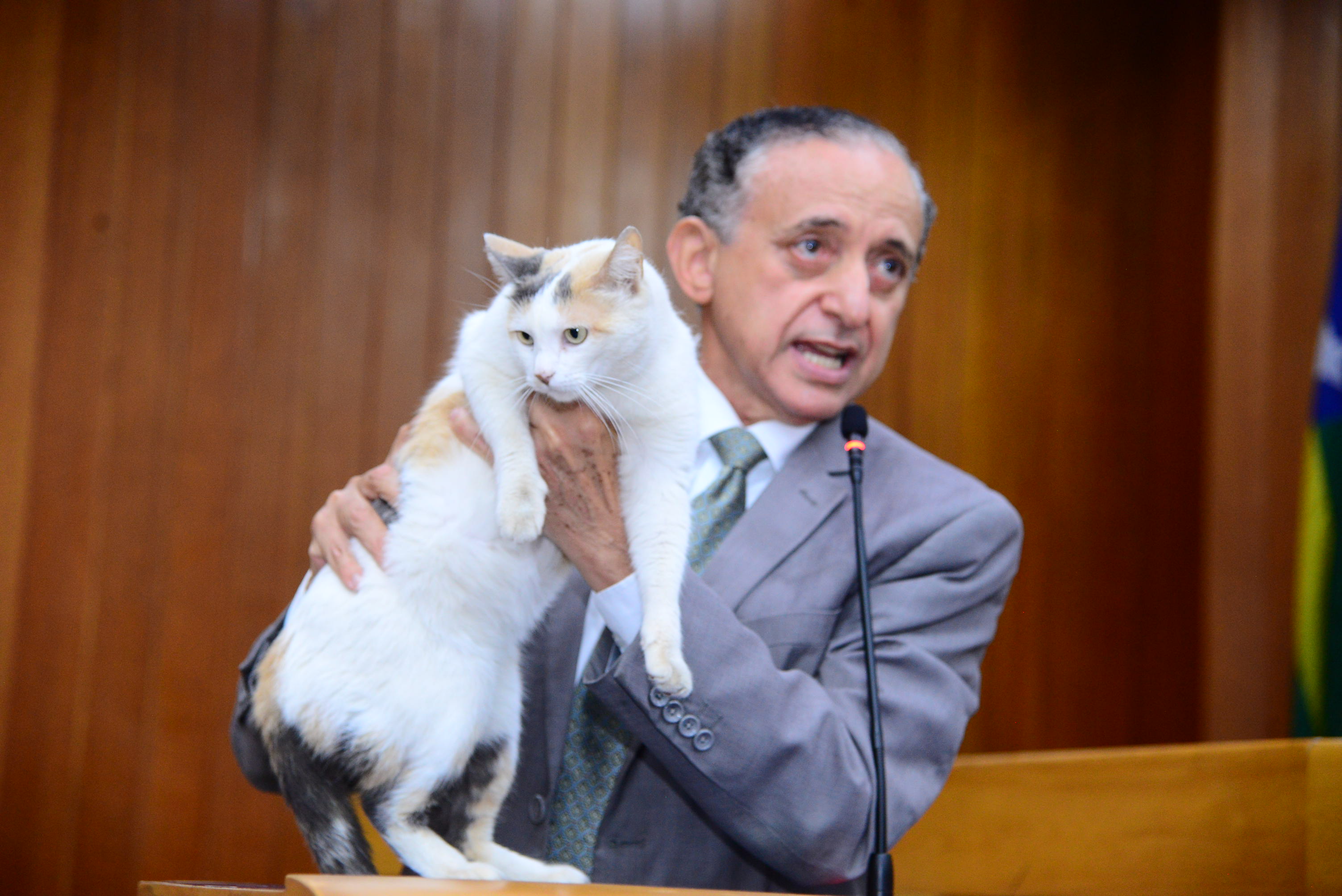 FOTO ANTONIO SILVA (2).JPG