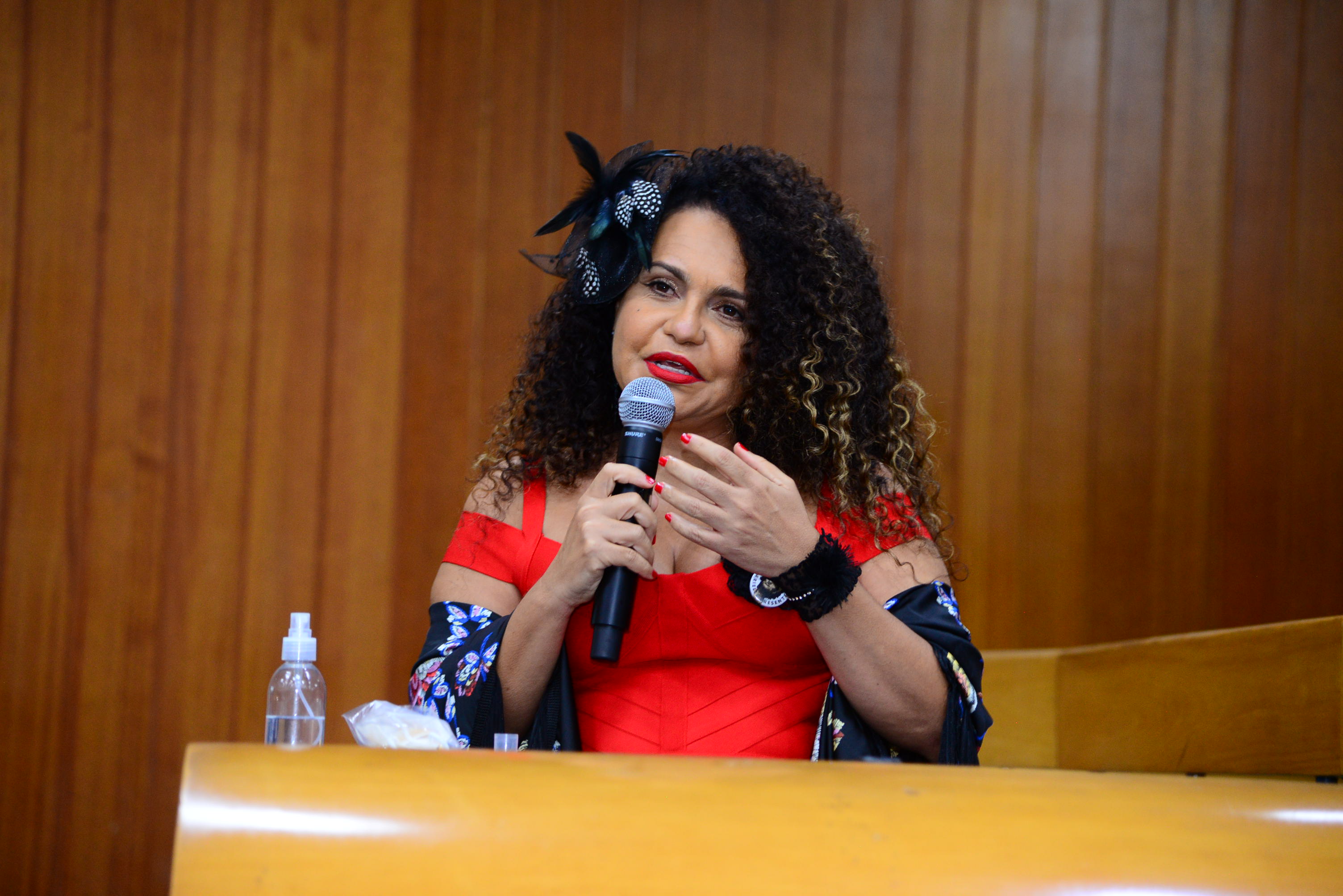 FOTO ANTONIO SILVA (67).JPG