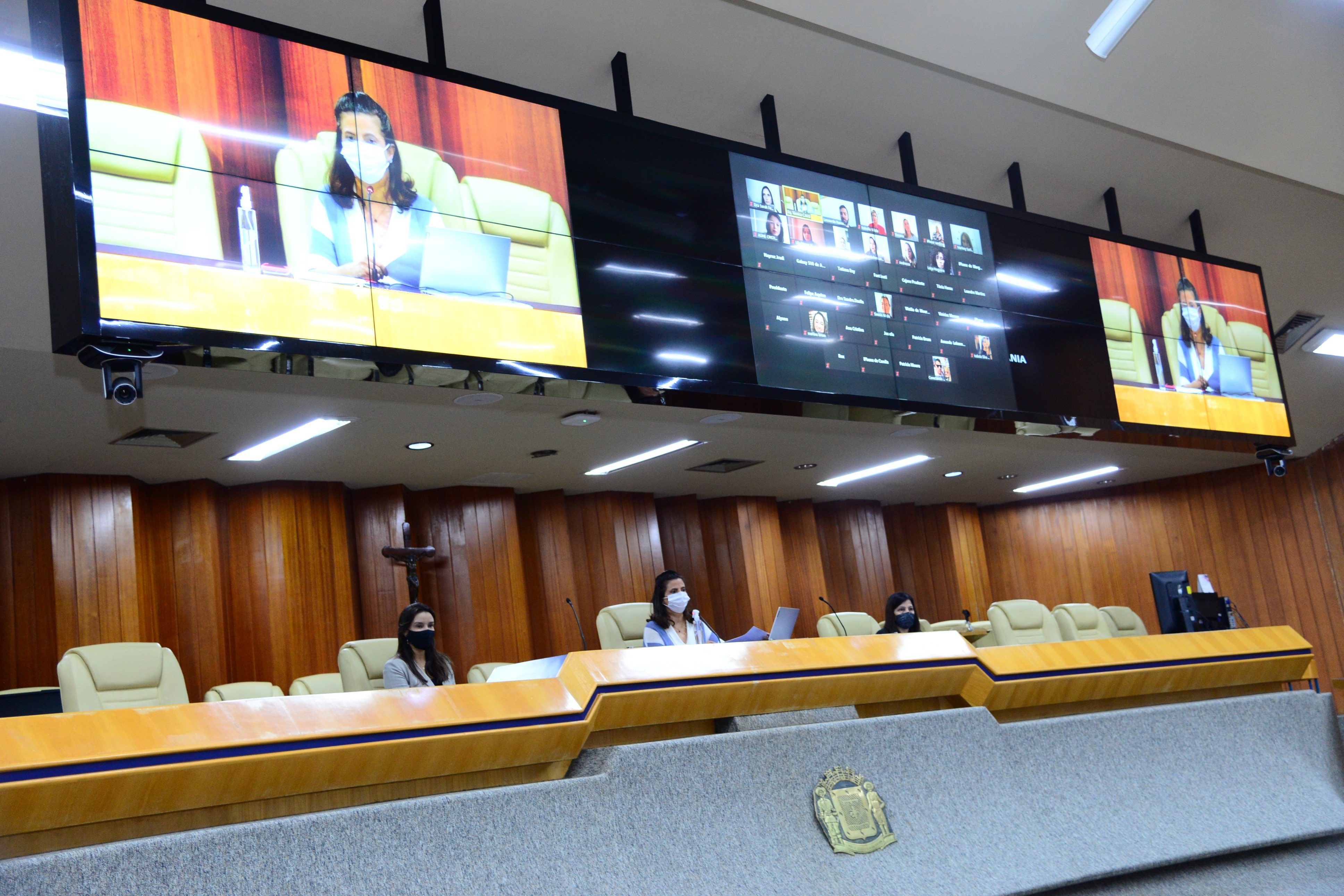 FOTO ANTONIO SILVA (12).JPG