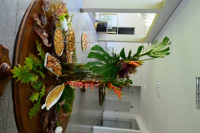 foto antonio silva (60).JPG