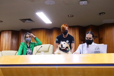 FOTOS MARCELO DO VALE (1).JPG