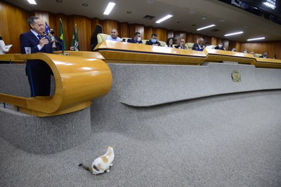 ANTONIO SILVA (56).JPG