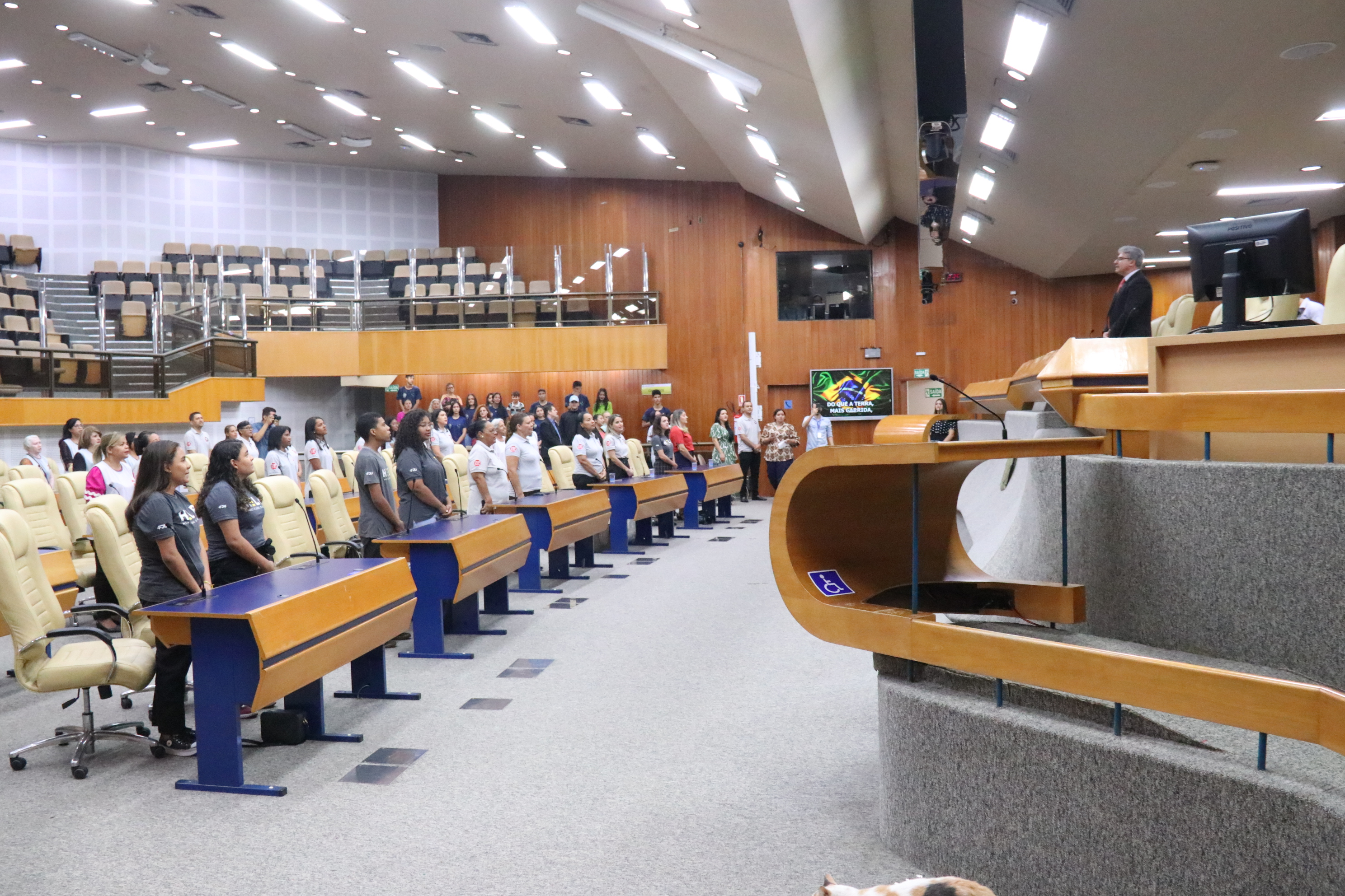 foto marcelo do vale (4).JPG