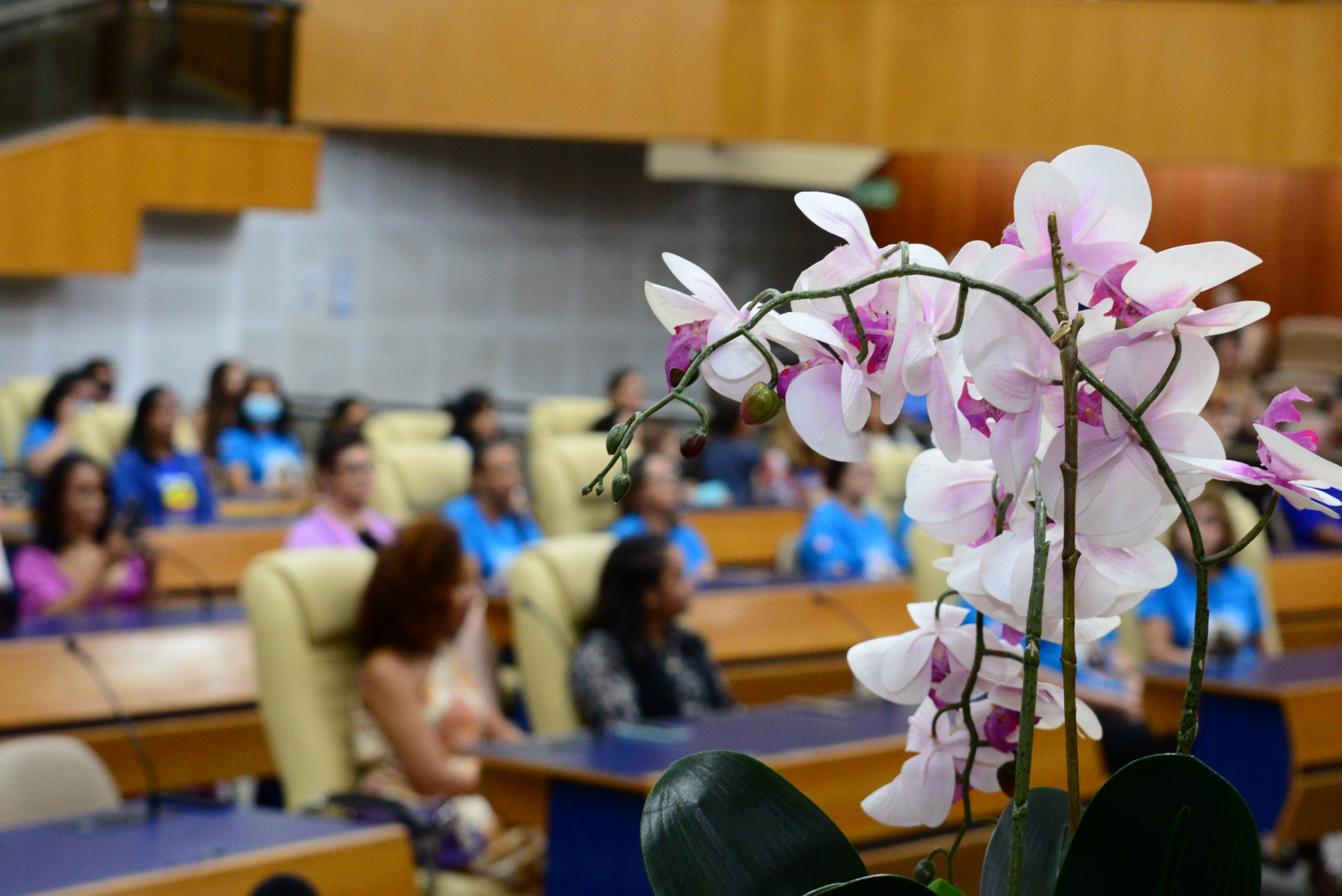 FOTO ANTONIO SILVA (28).JPG