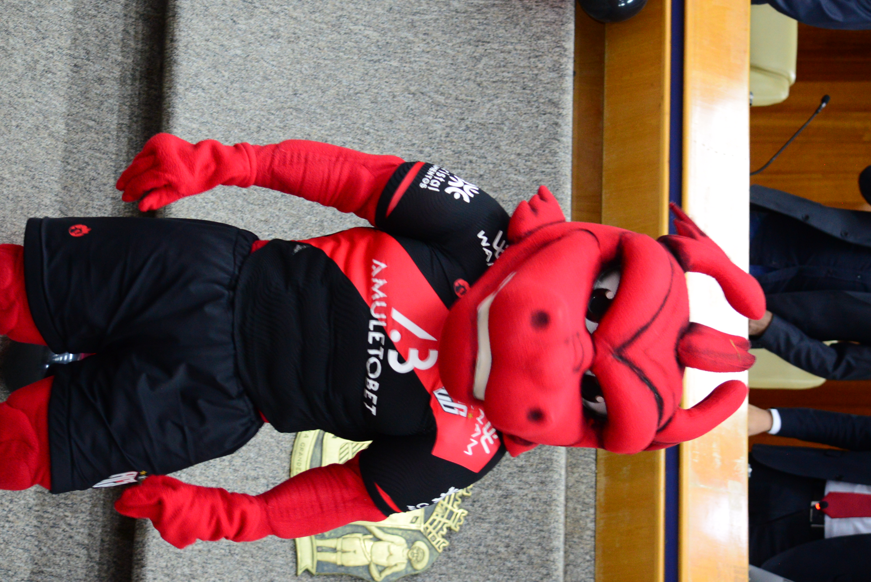 FOTO ANTONIO SILVA (129).JPG