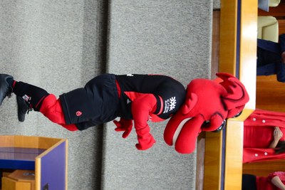 FOTO ANTONIO SILVA (130).JPG