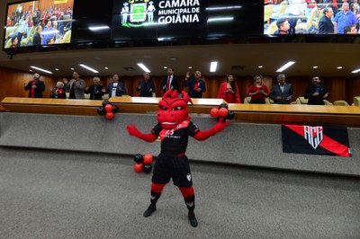 FOTO ANTONIO SILVA (136).JPG