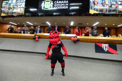 FOTO ANTONIO SILVA (140).JPG