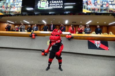 FOTO ANTONIO SILVA (141).JPG