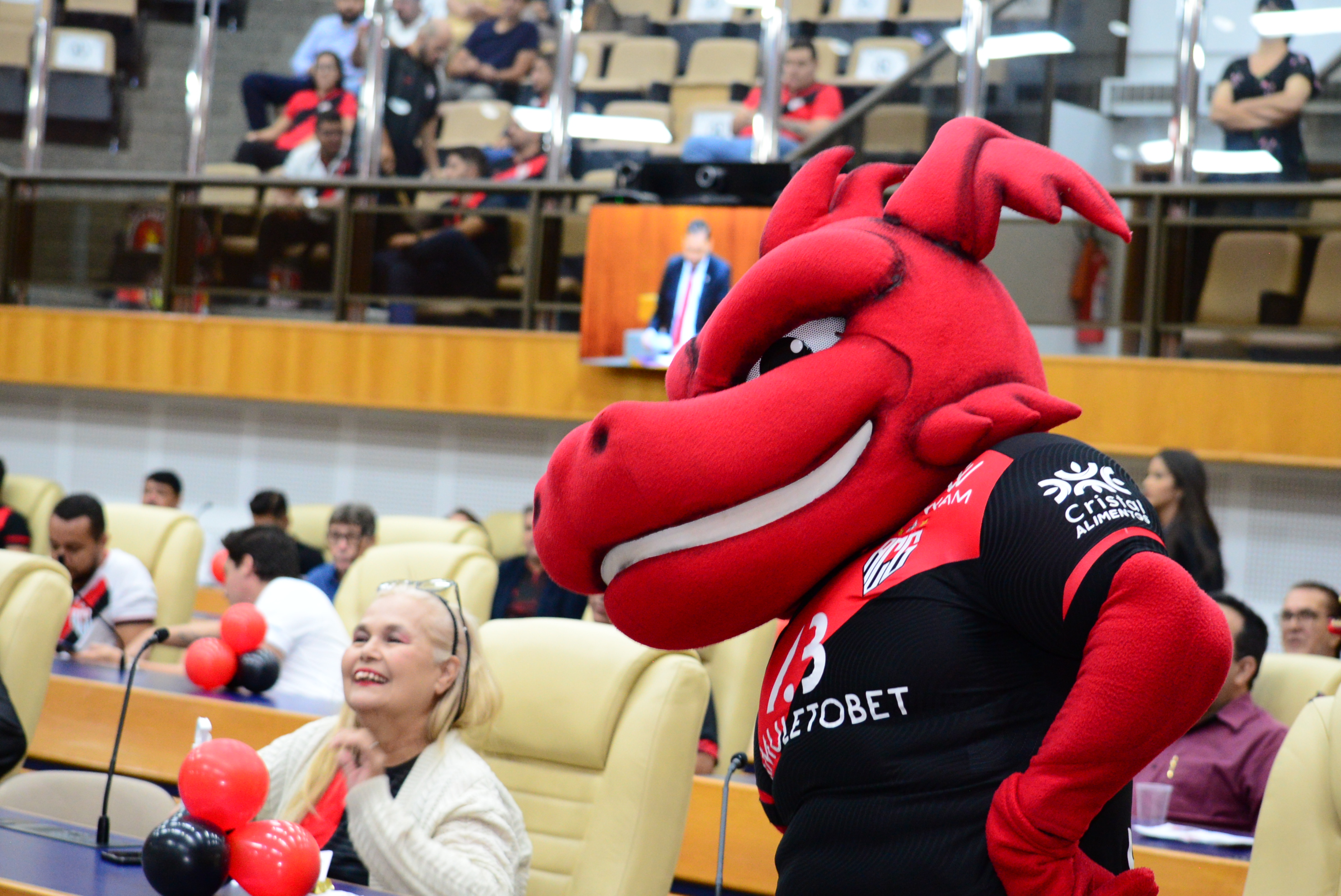 FOTO ANTONIO SILVA (155).JPG