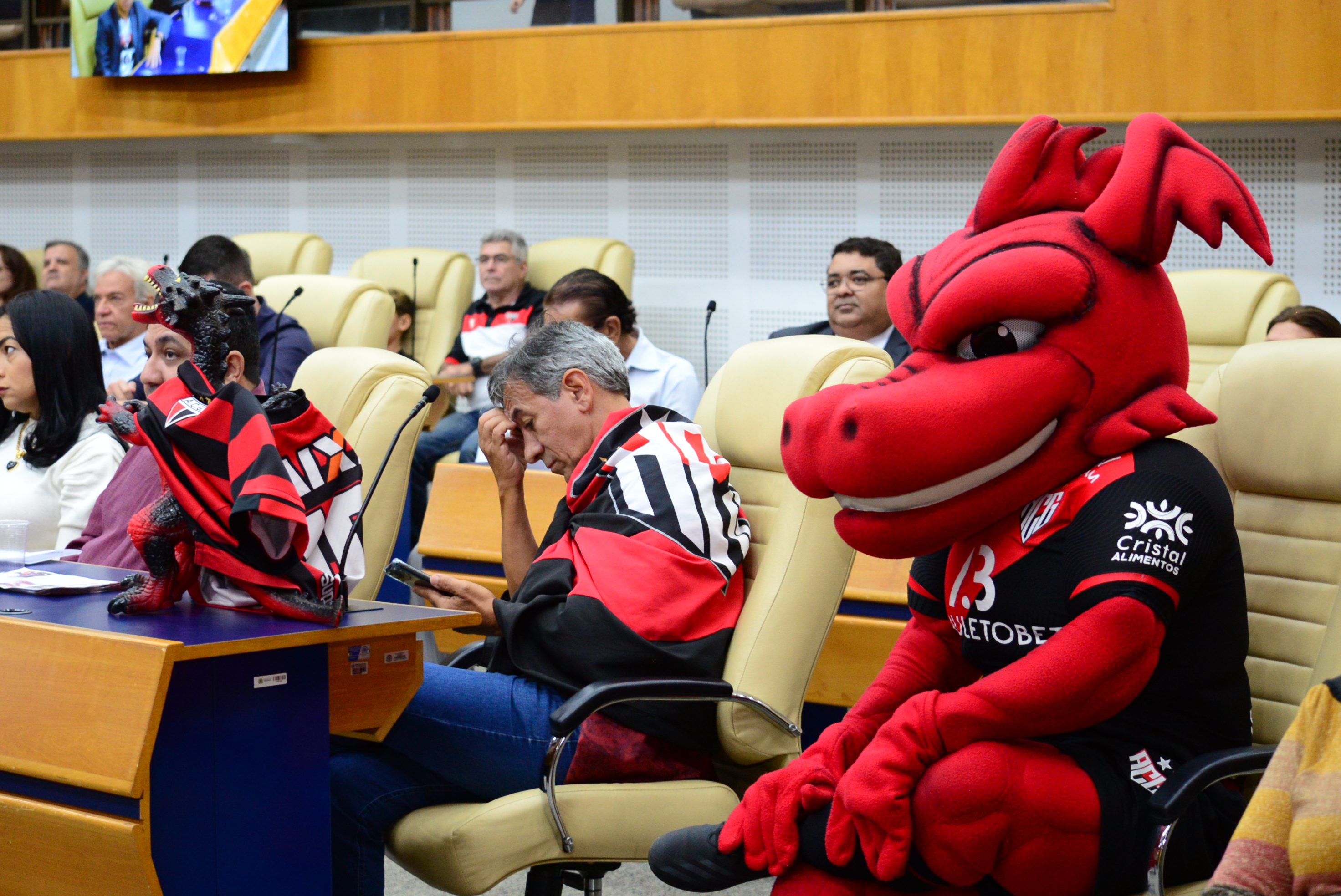 FOTO ANTONIO SILVA (213).JPG