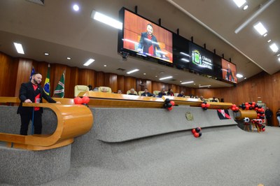 FOTO ANTONIO SILVA (255).JPG