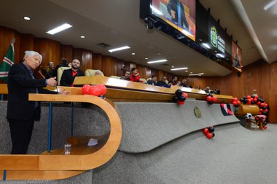 FOTO ANTONIO SILVA (275).JPG