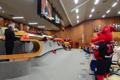 FOTO ANTONIO SILVA (277).JPG