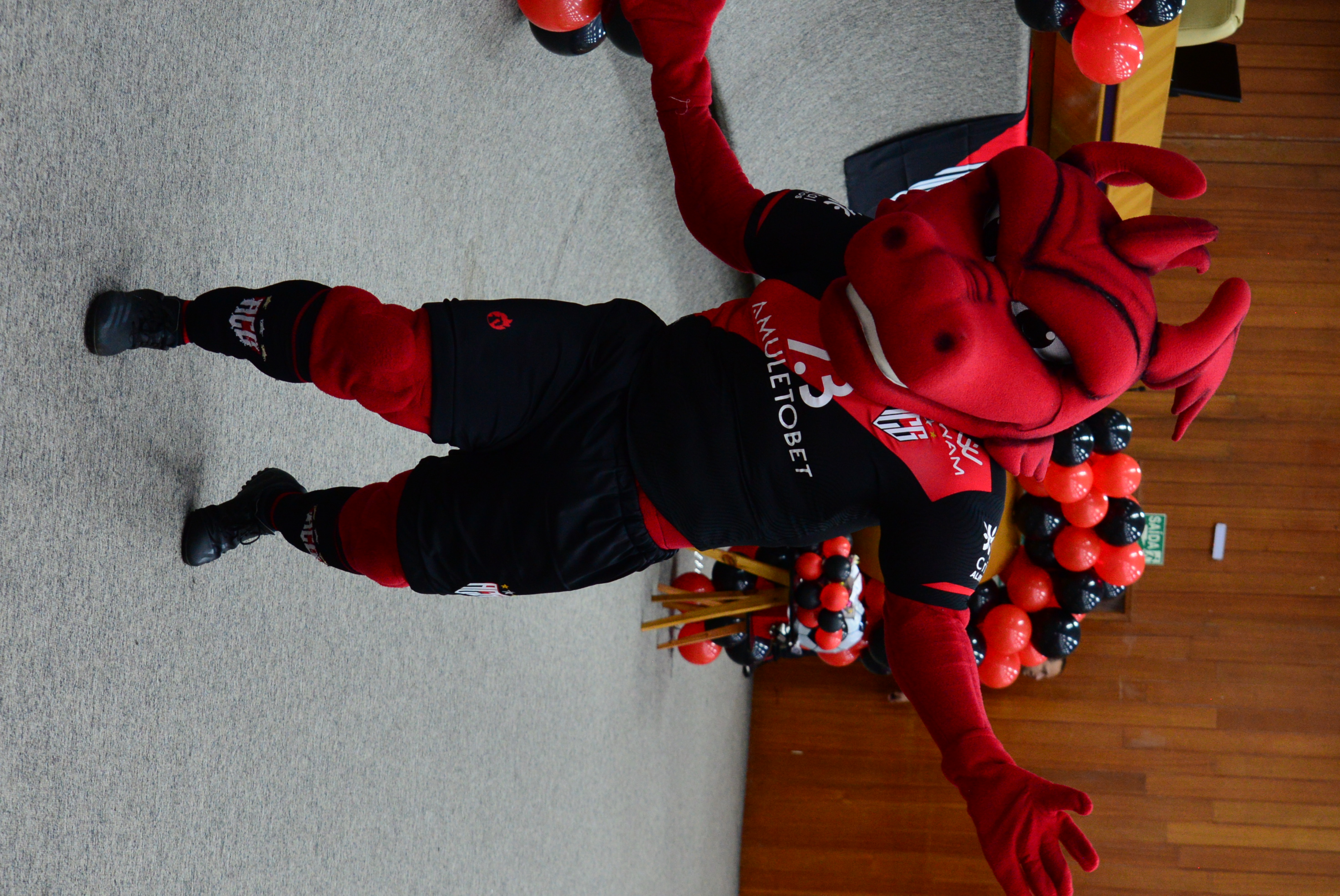 FOTO ANTONIO SILVA (34).JPG