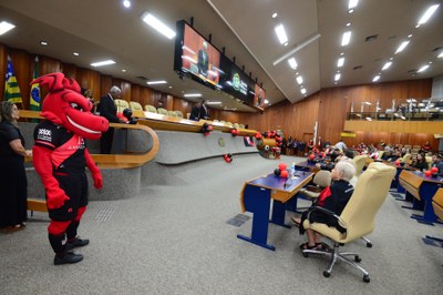 FOTO ANTONIO SILVA (81).JPG