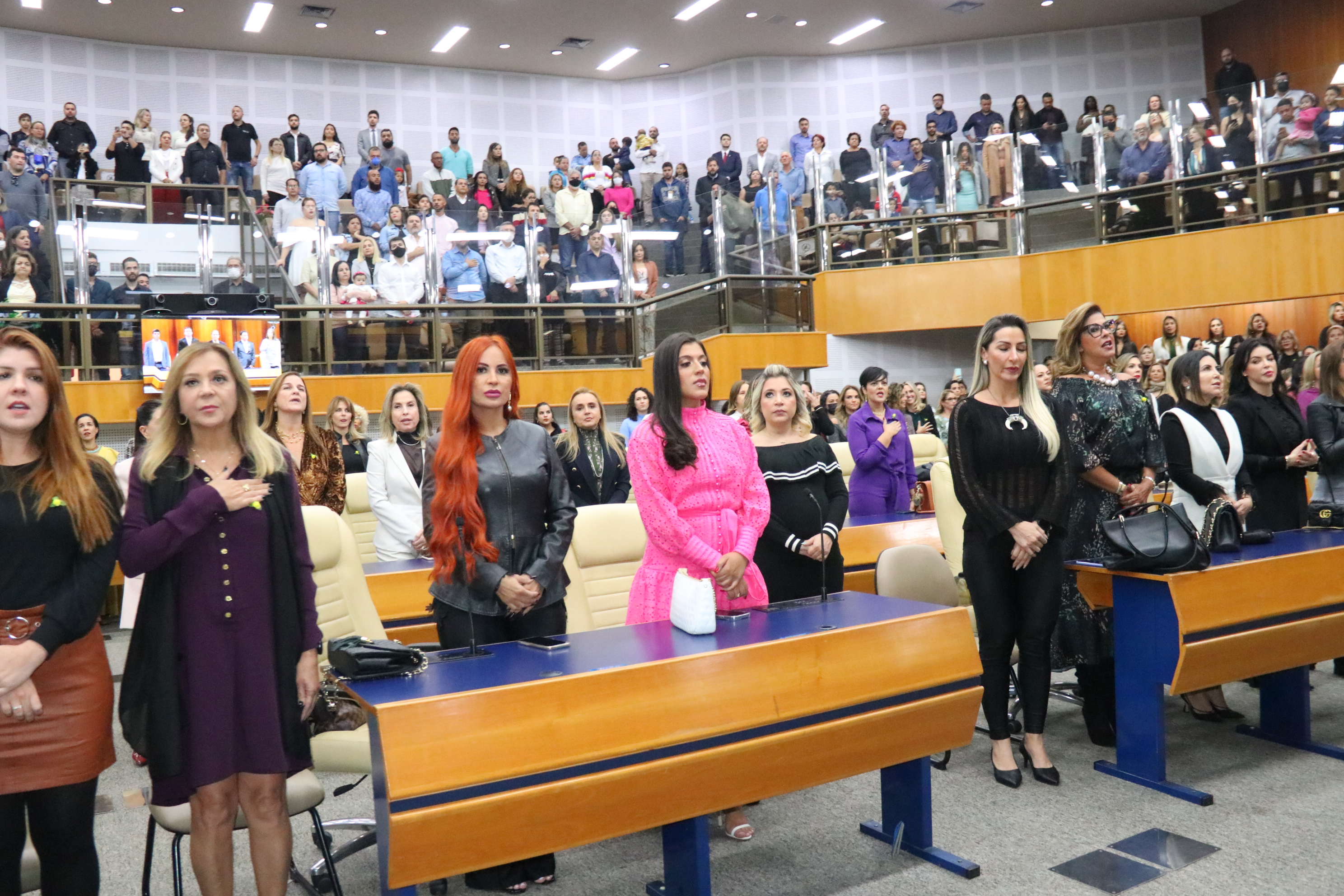 Foto Francisco Carvalho (37).JPG