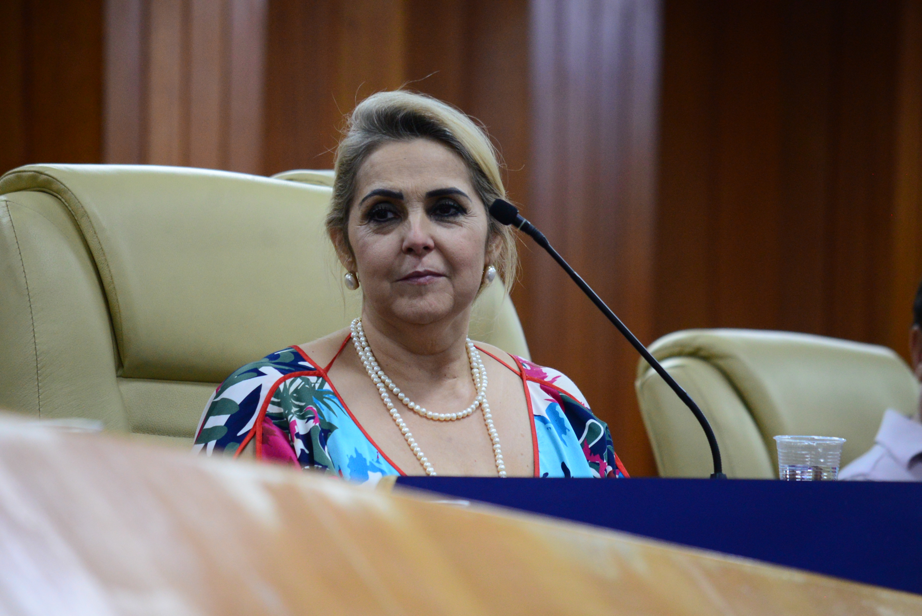 FOTO ANTONIO SILVA (98).JPG