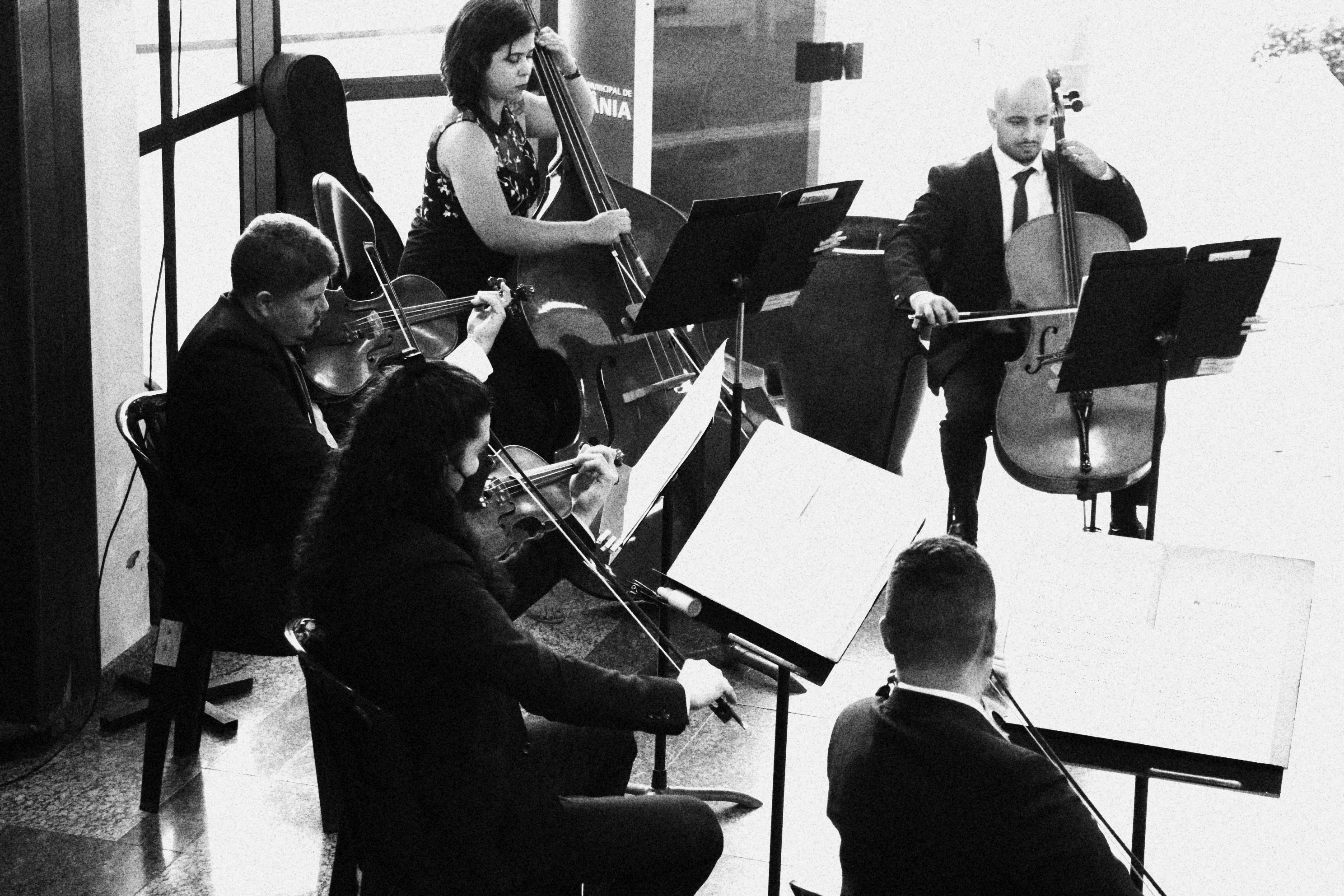 foto marcelo do vale (2).JPG